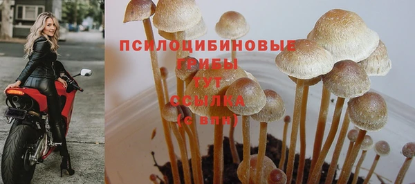 марки nbome Алзамай