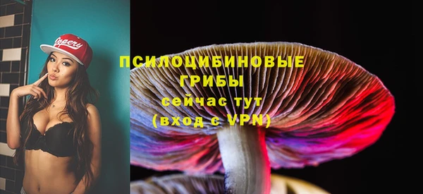 дживик Абаза