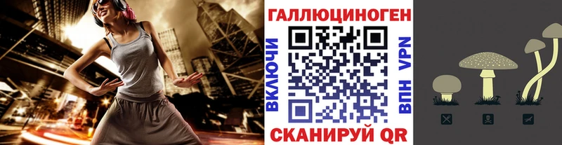 Псилоцибиновые грибы Psilocybine cubensis  Магадан 